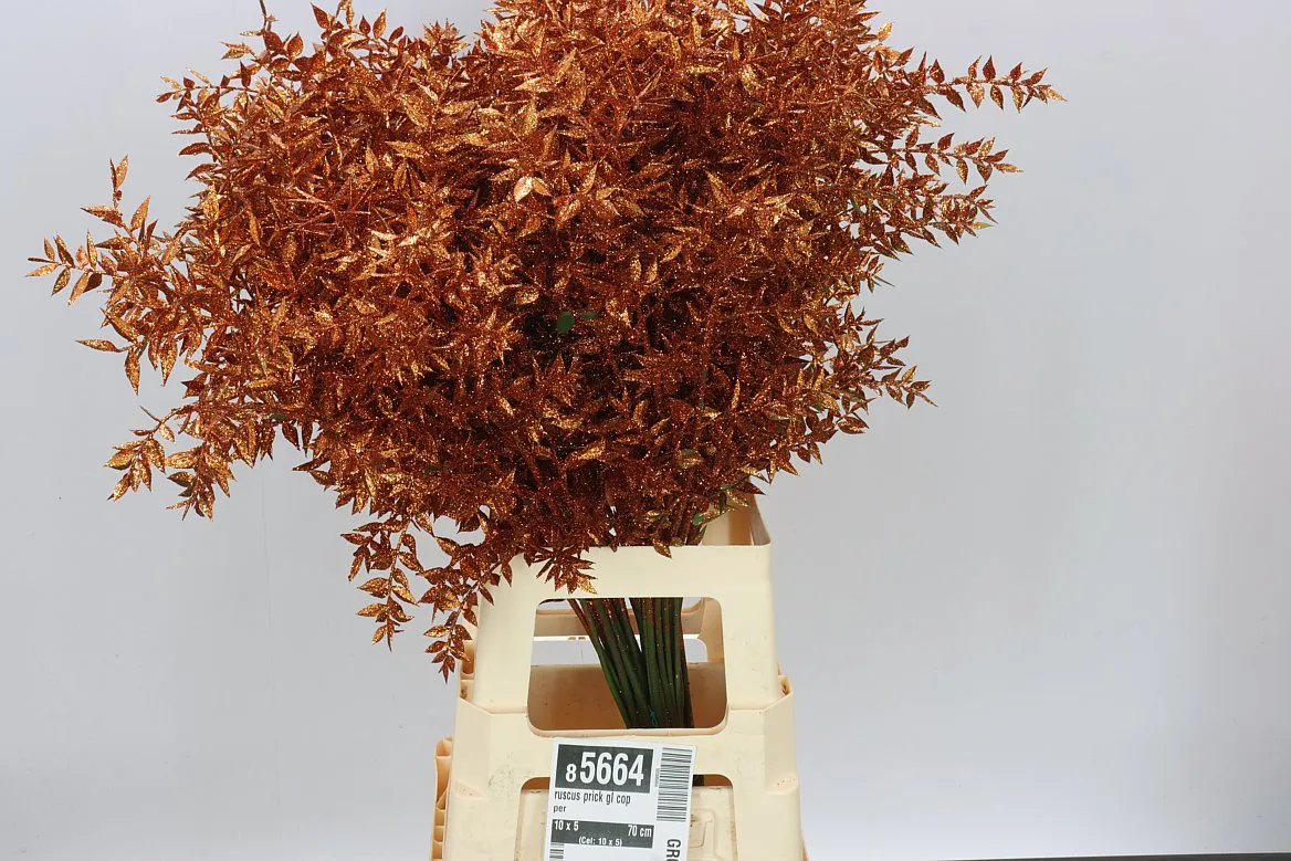 Ruskus Prick Gl Copper • 70 cm