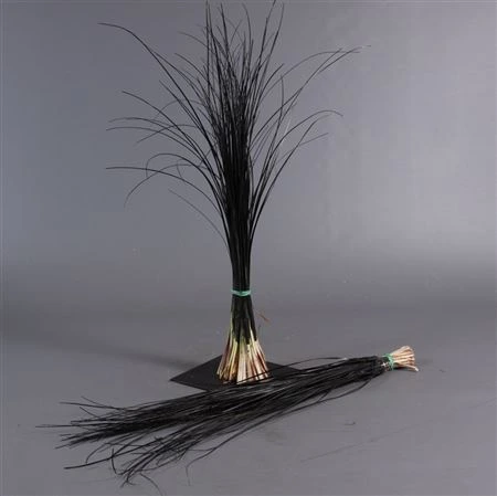 Beargrass Black • 60 cm