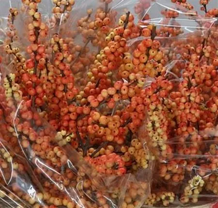 Ilex Julia Victoria • 70 cm