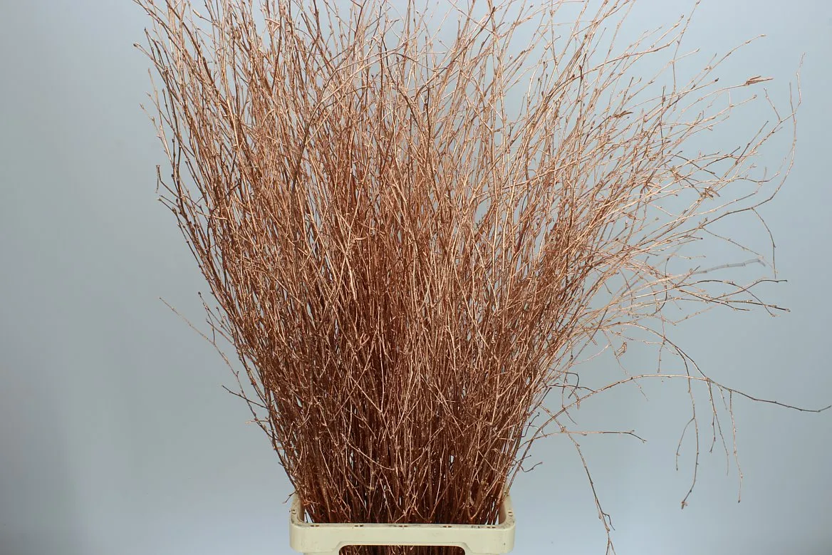 Breza Copper • 120 cm