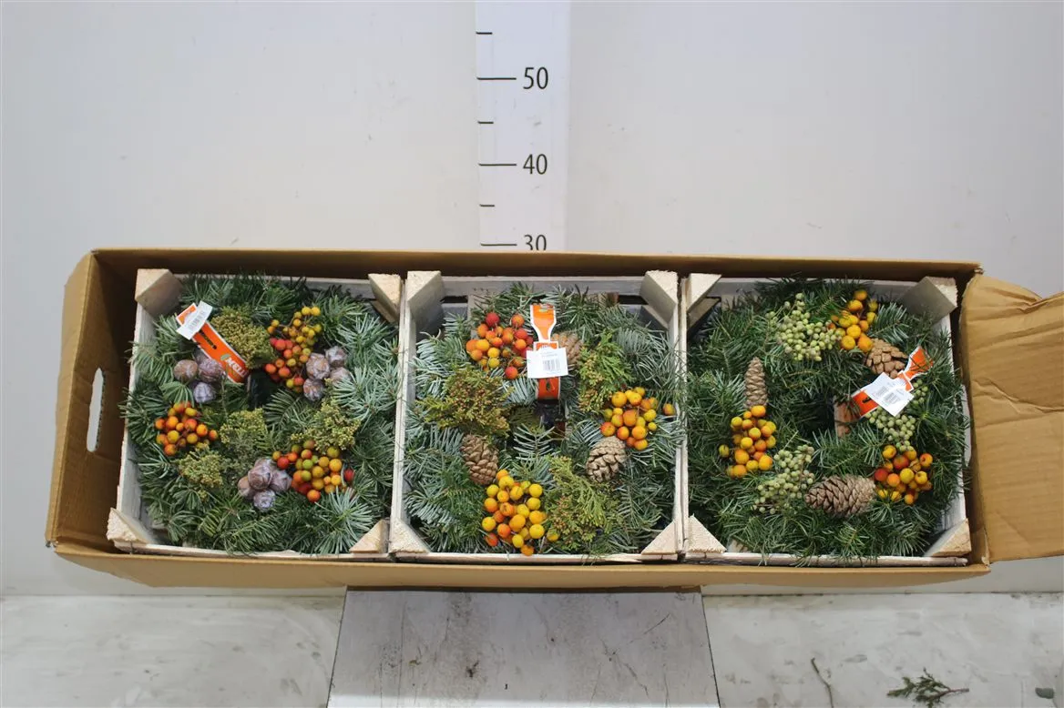 Sierfruit Krans