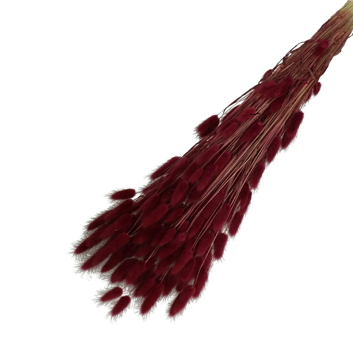Sušený zajačí chvost bordový 65 cm, 100 g