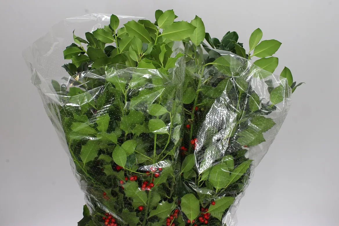 Hulst Green • 60 cm