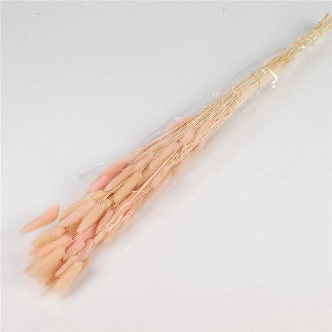 Dried Lagurus Light Pink • 70 cm