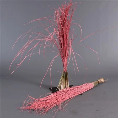 Beargras Dark Pink • 60 cm