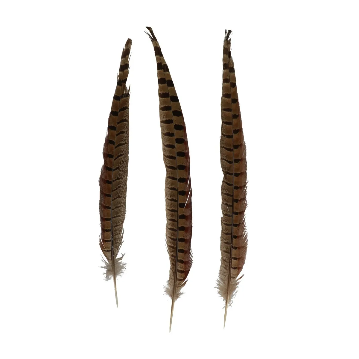 Perie Pheasant 30- hnedá 35 cm