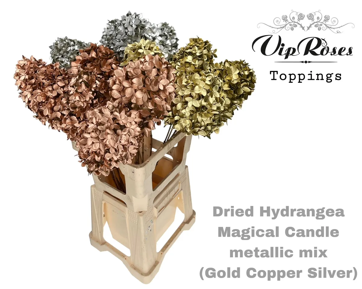 Dried Hydrangea Magical Candle Metallic Mix • 80 cm