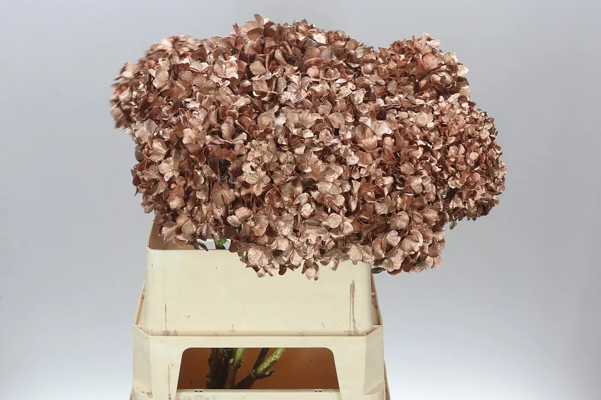 Hydr Painted Copper • 80 cm