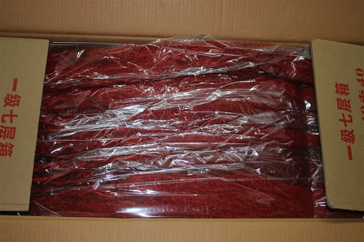 Amaranthus Bordeaux, sušené • 90 cm