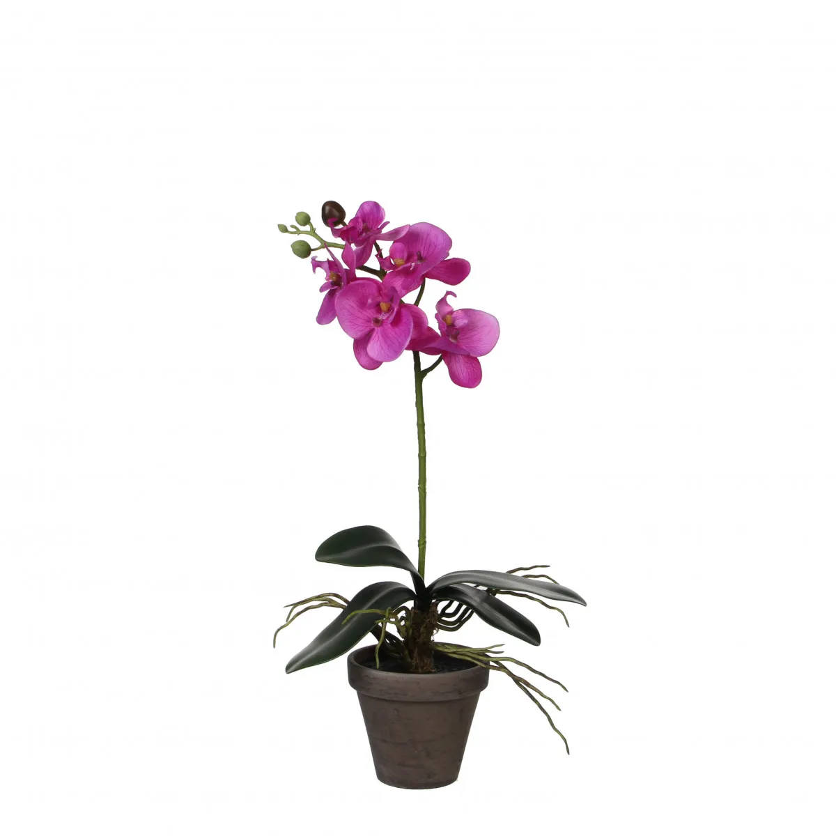 Umelá orchidea Phalaenopsis v kvetináči fuksiová ⌀ 11 až 13 × 48 cm