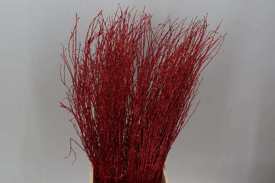 Breza Red Glitter • 70 cm