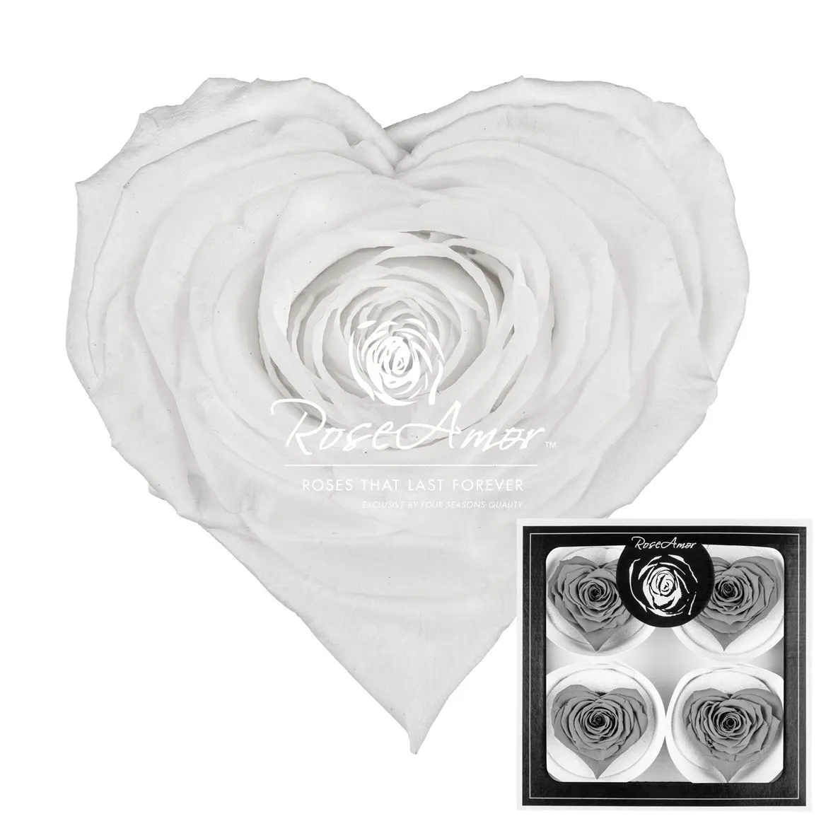 Stabilizovaná ruža v tvare srdca Corazon Bella ⌀ 7 cm, biela WHI01