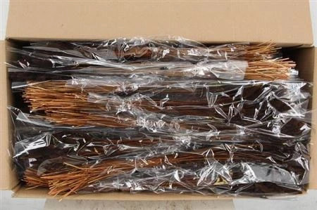Lagurus Brown, sušené • 70 cm