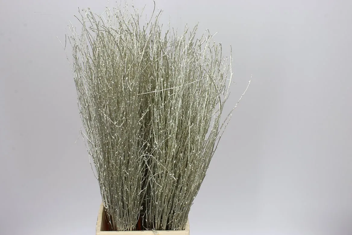 Breza Platina Glitter • 70 cm