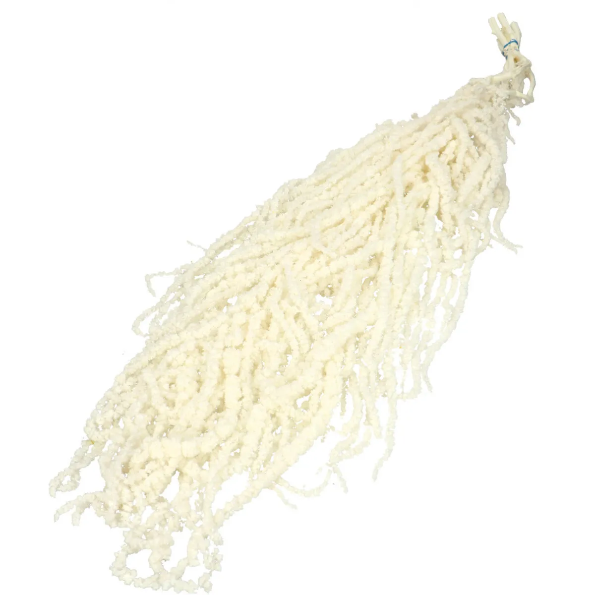 Sušený láskavec previsnutý biely 70 cm