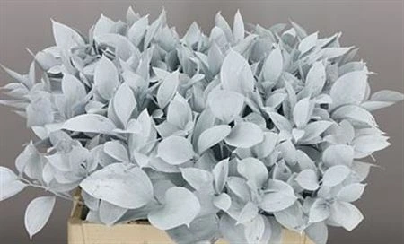 Ruskus farbený White + Glitter • 60 cm
