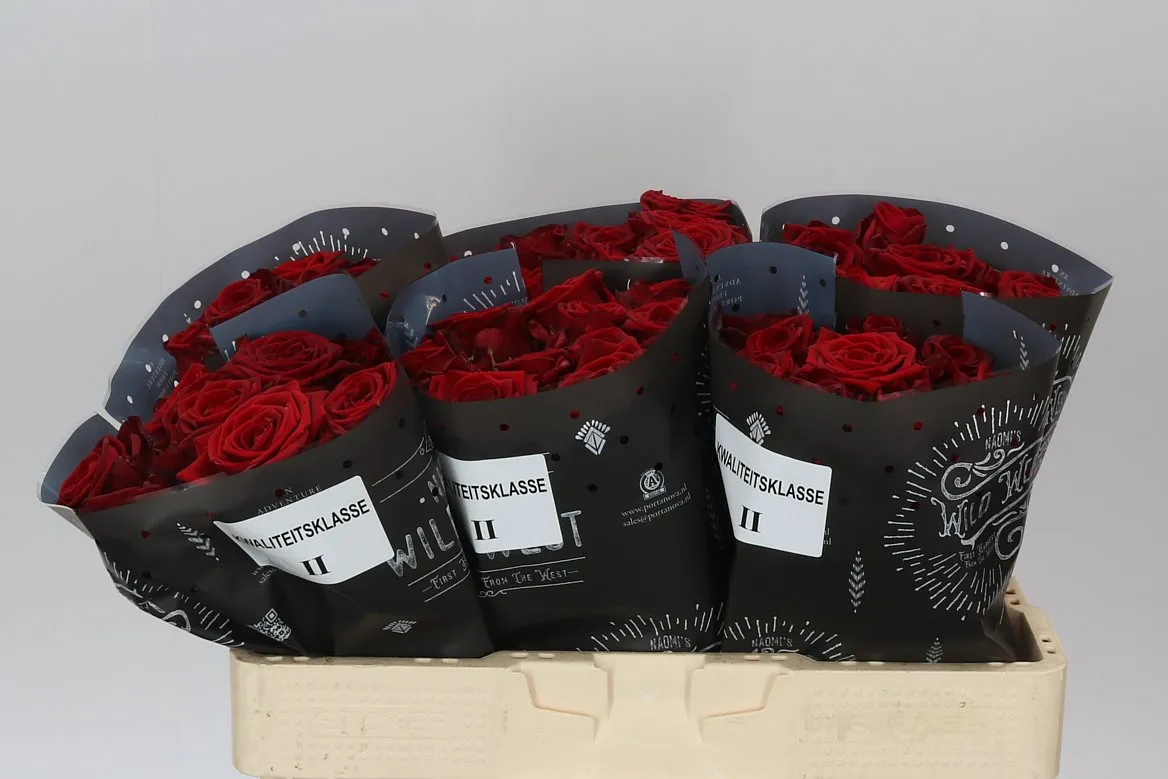Ruža Red Naomi B1 • 50 cm