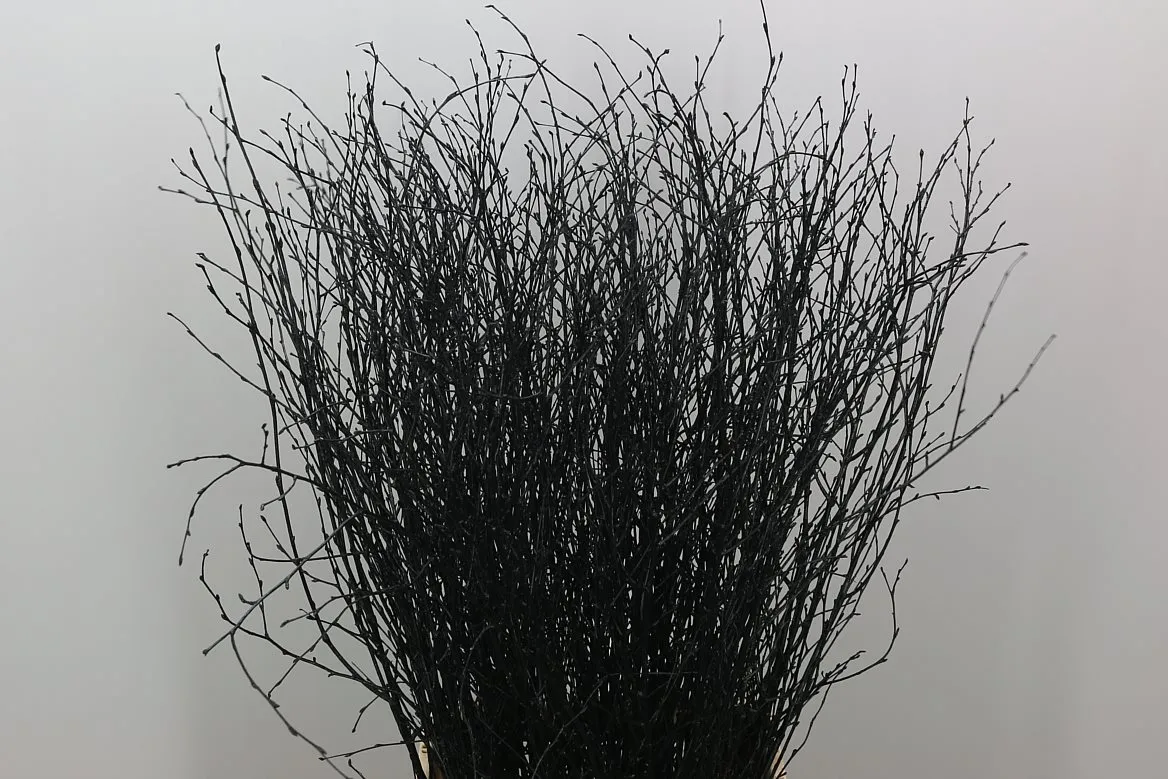 Berk Black • 120 cm
