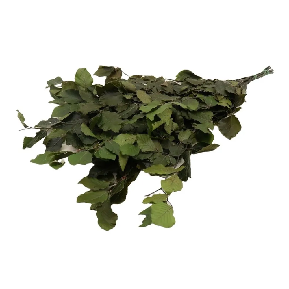 Stabilizovaný buk 80 cm, zelený, 150 g