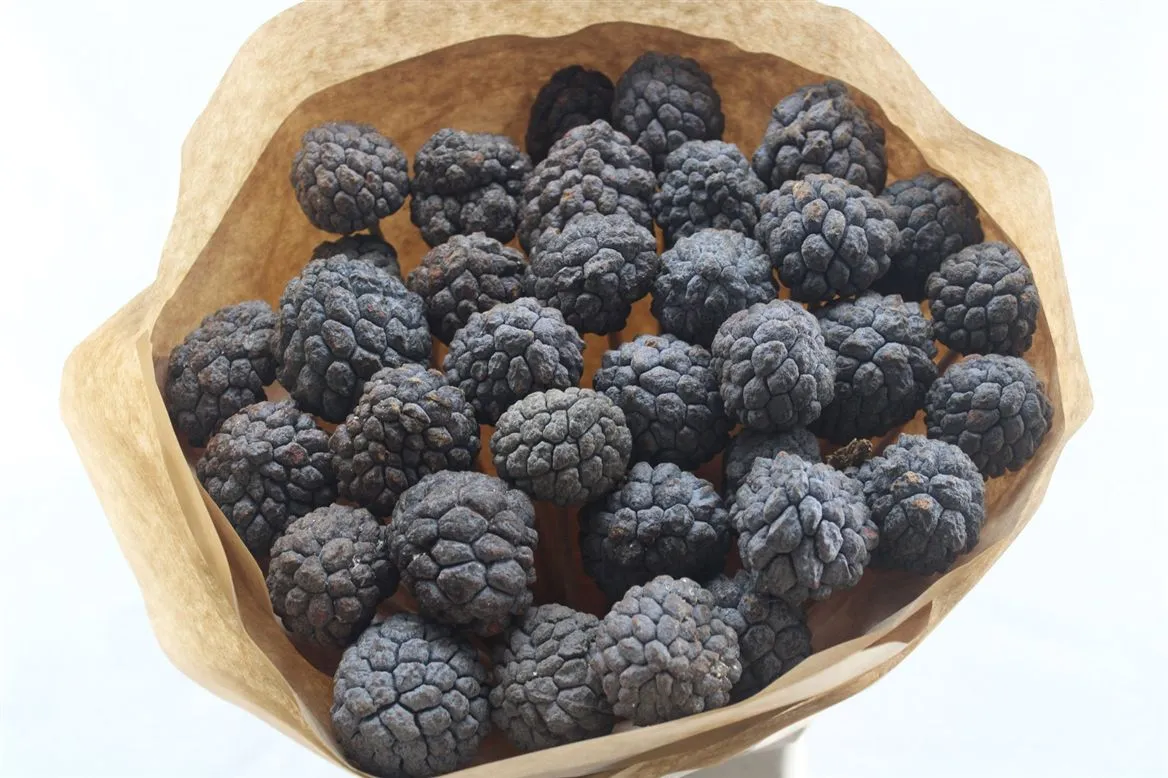 Sant Fruit X40, sušené