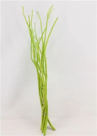 Mitsumata Green vo zväzku