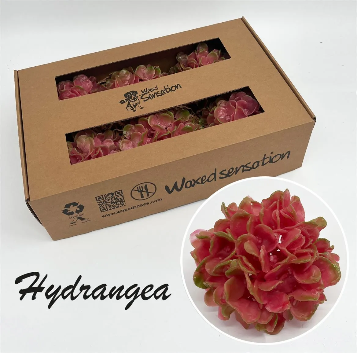 Zijde Hydr Wx Rose • 20 cm
