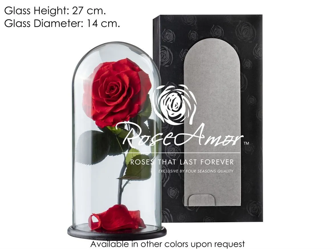 Pres. Dome Aurora Red02 Bulk