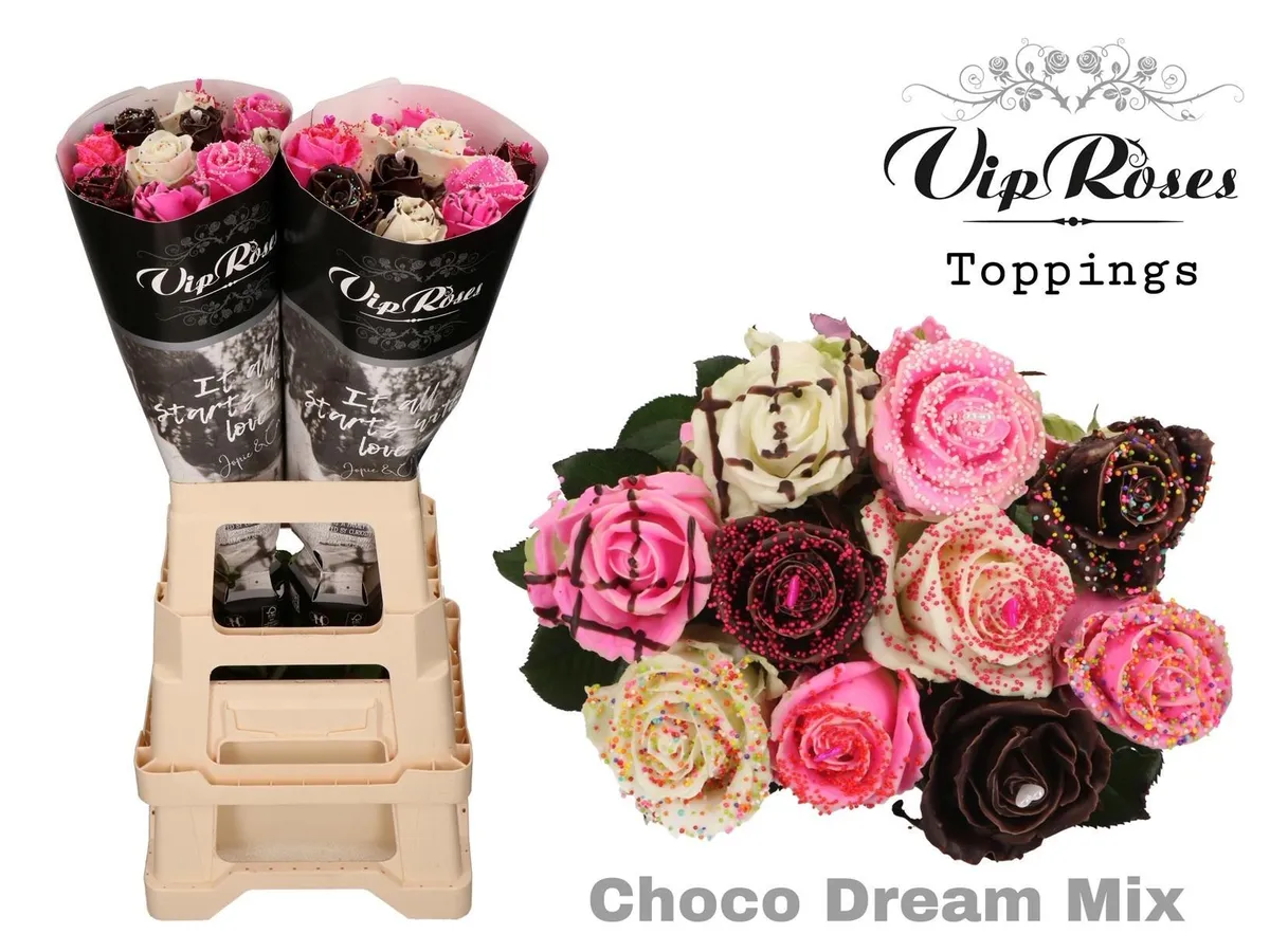 Ruža Choco Dream mix X 20 • 70 cm
