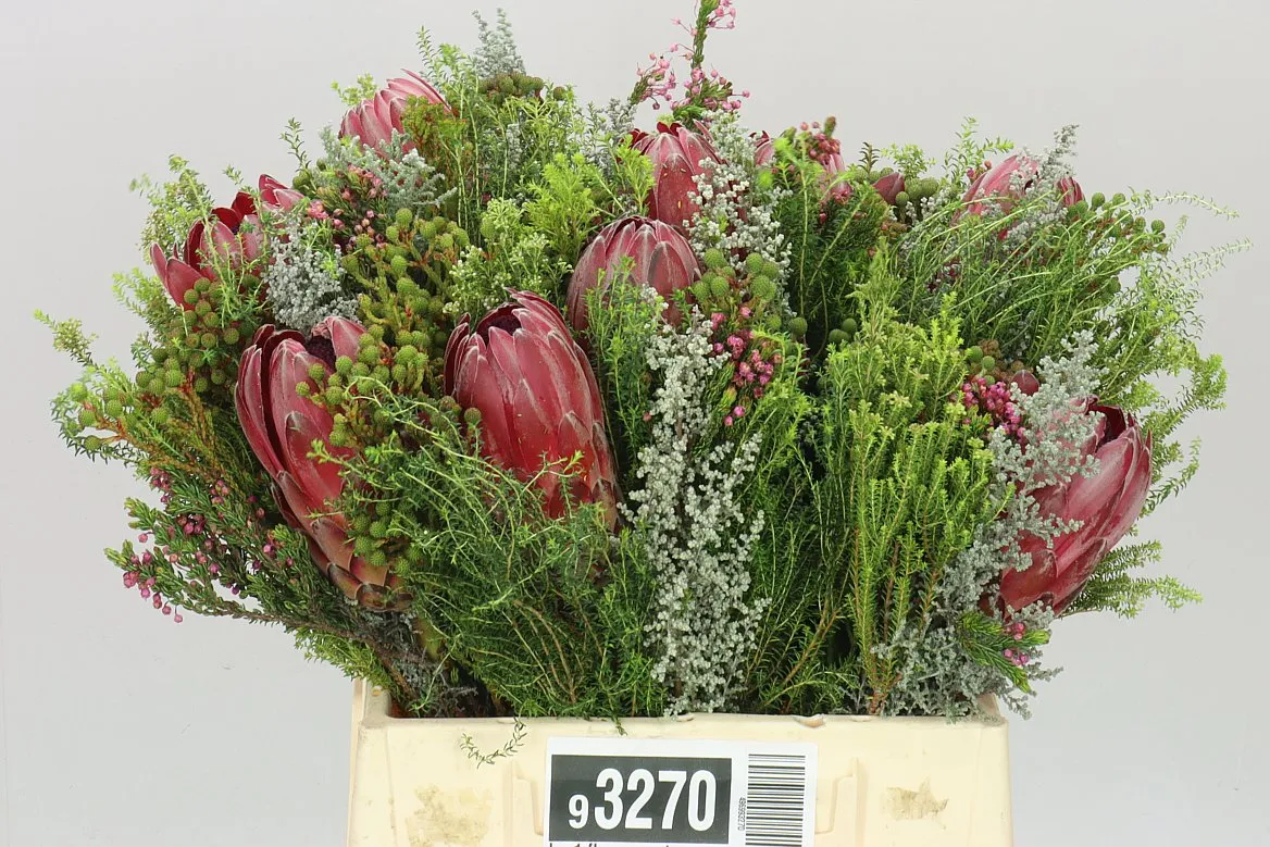 Bq 1 Flower Protea • 40 cm