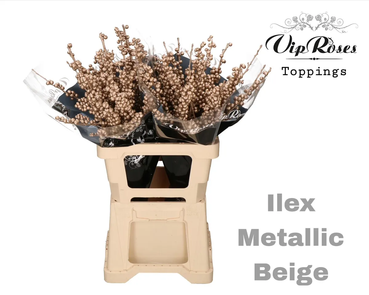 Ilex Metallic Beige • 60 cm