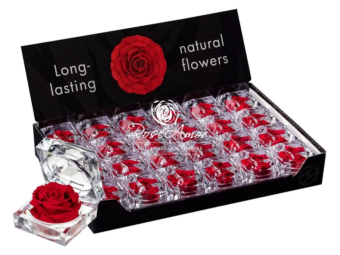 Pres. Display Jewel Red02