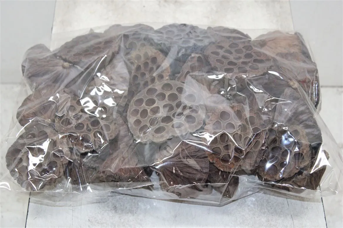 Dried Lotus D10/12cm X50