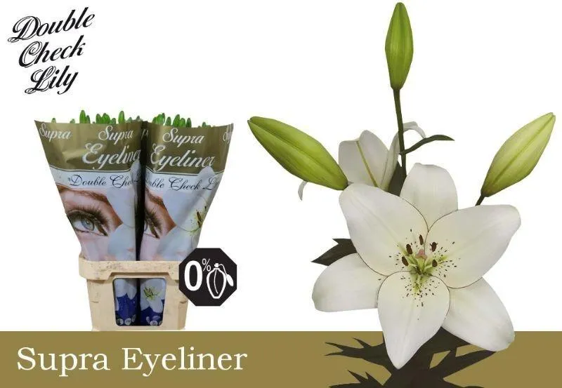 Li La Eyeliner • 90 cm