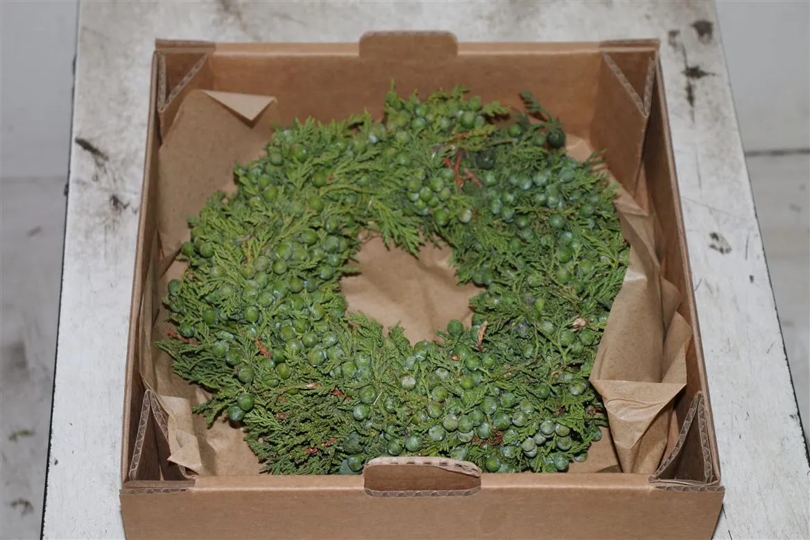 Wr Sierfruit Juniperus 30cm Green • 30 cm
