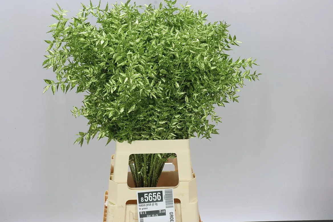Ruskus Prick Gl Light Green • 70 cm