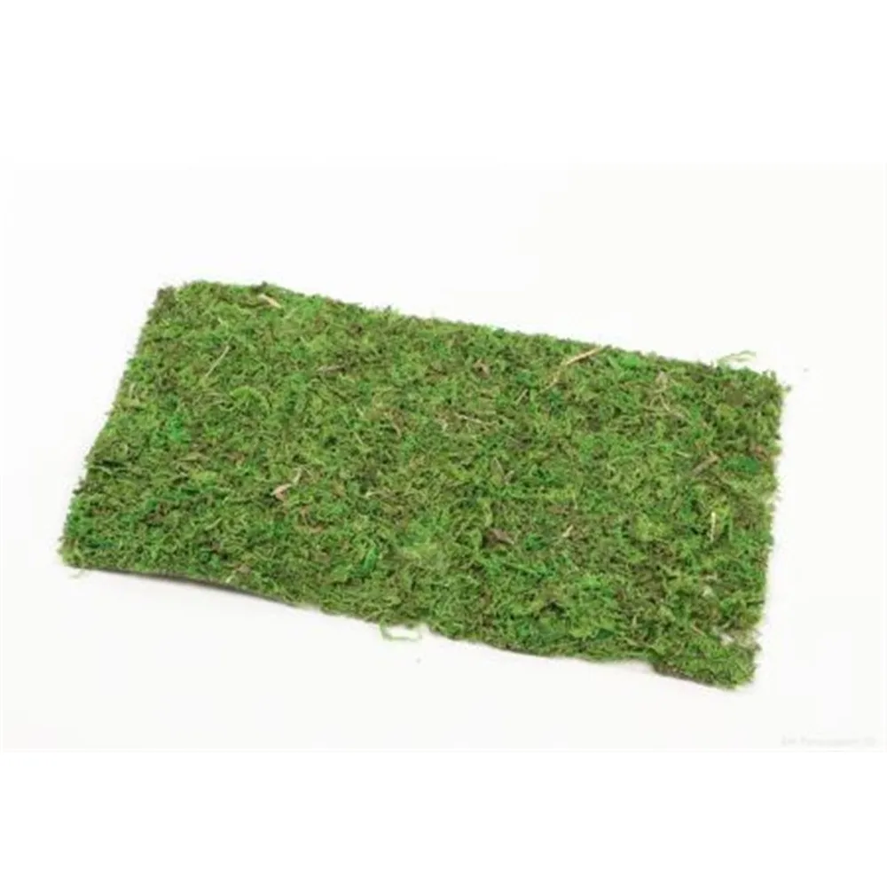 Sušený materiál mach hárok zelená 30 × 18 cm