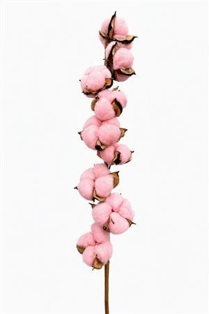 Cotton Dyed 9 Balls Light Pink • 60 cm