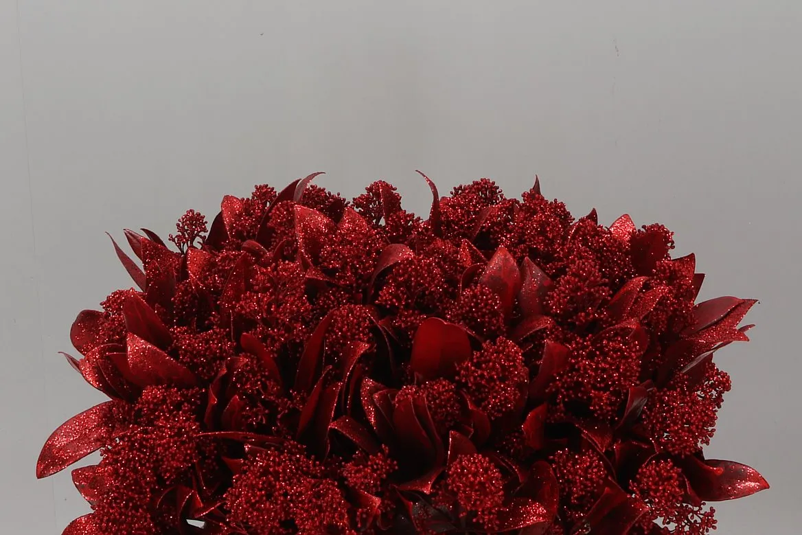 Skimmia farbená Red + Glitter • 45 cm