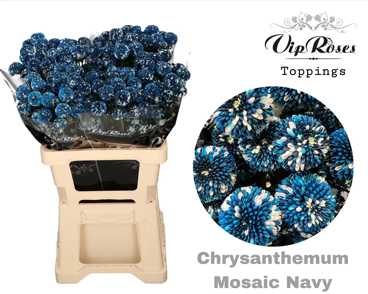 Chr T Mosaic Navy • 60 cm