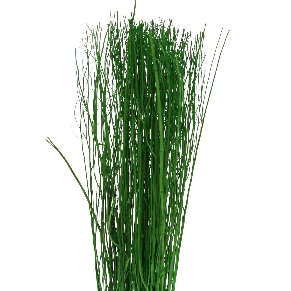 Vŕbové vetvy Yanagi zelené 85 cm, 250 g