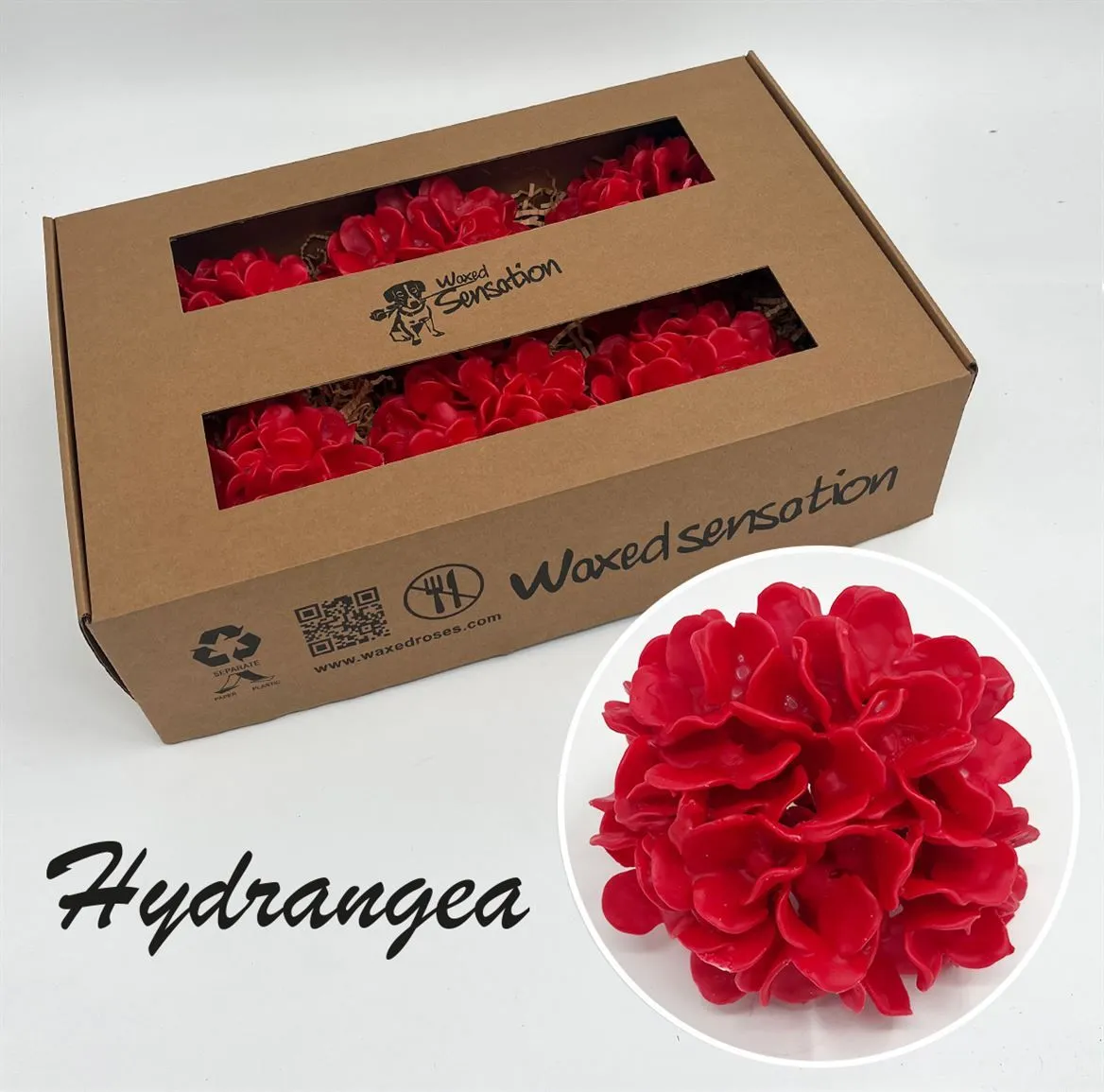 Zijde Hydr Wx Rood