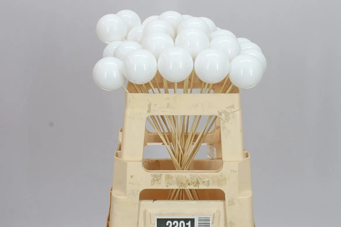 X-mas Balls White