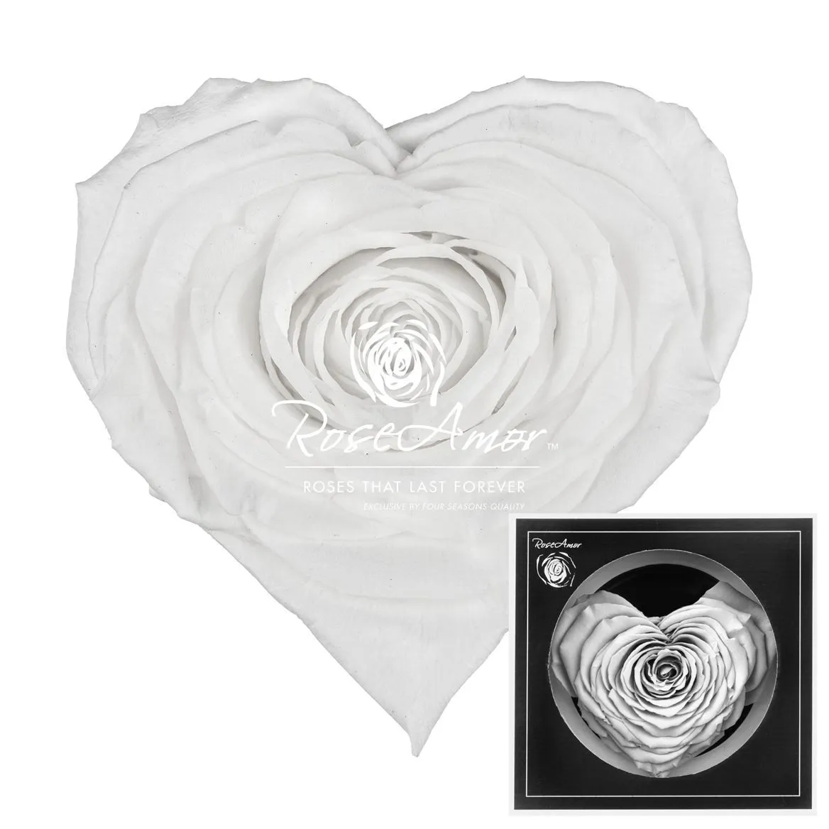 Stabilizovaná ruža v tvare srdca Corazon ⌀ 9 cm, biela WHI01