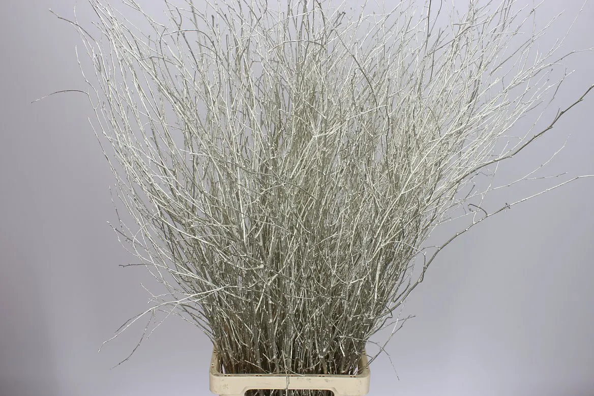 Berk Platina • 120 cm