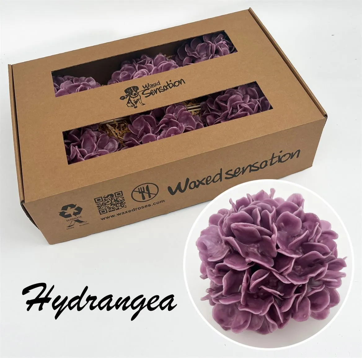 Zijde Hydr Wx Oud Paars • 20 cm