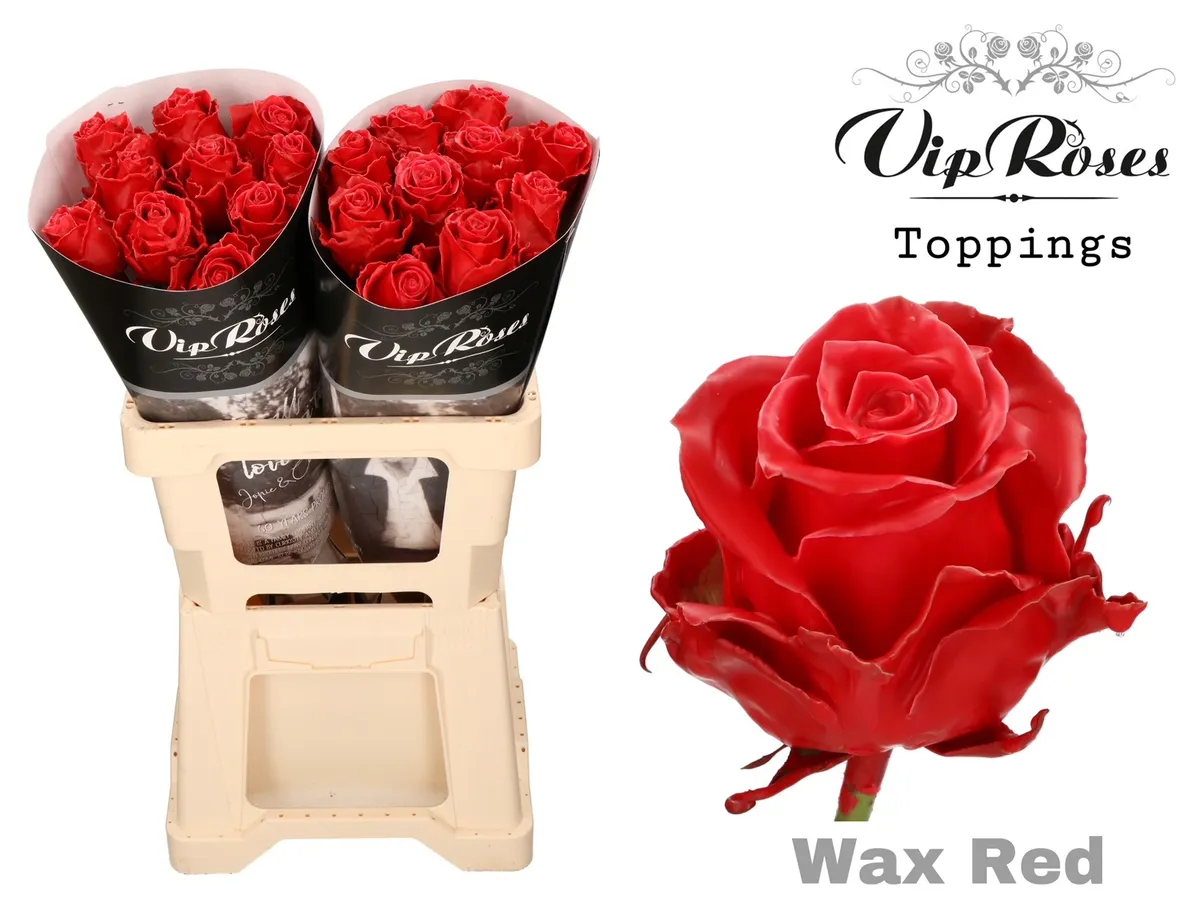 R Gr Wax Red (60cm) • 60 cm