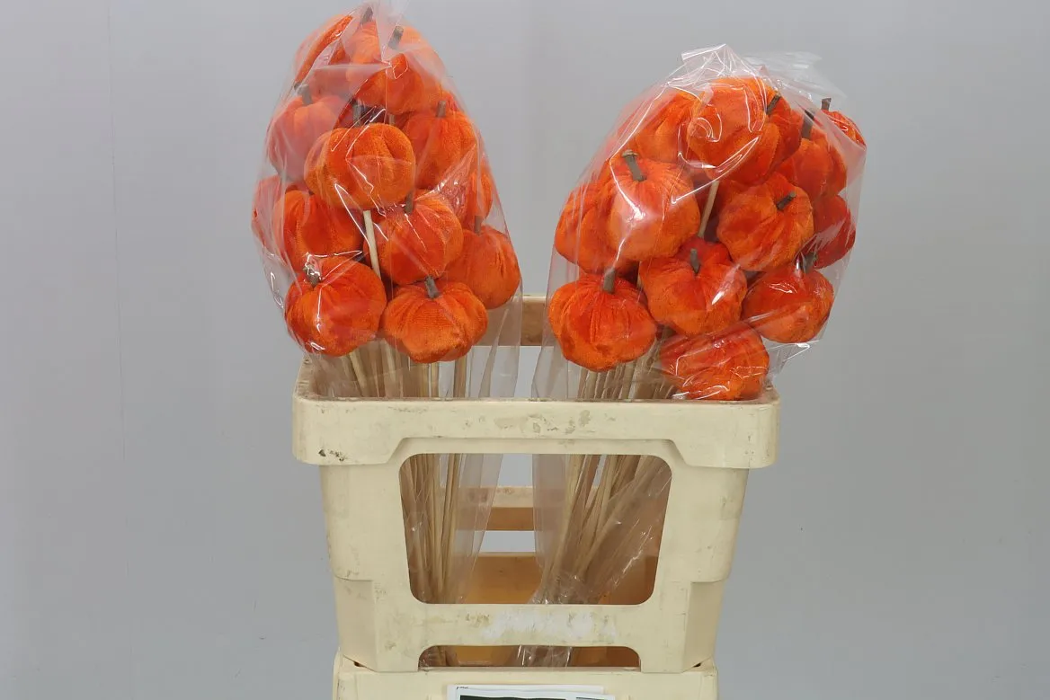 Stick Pumpkin Fiber Orange X25 • 50 cm