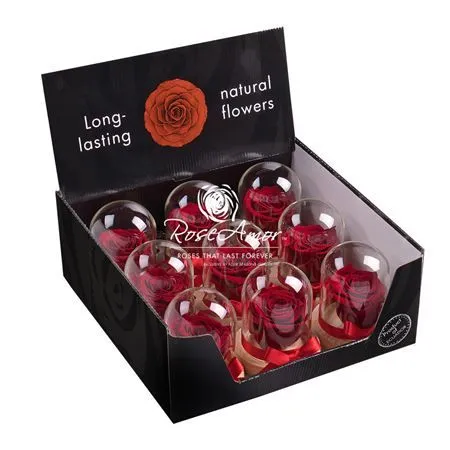 Pres. Display Dome Sarah Red01