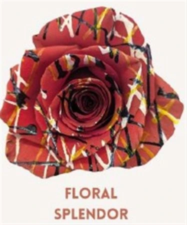 Ruža farbená Floral Splendor, Ekvádor • 50 cm