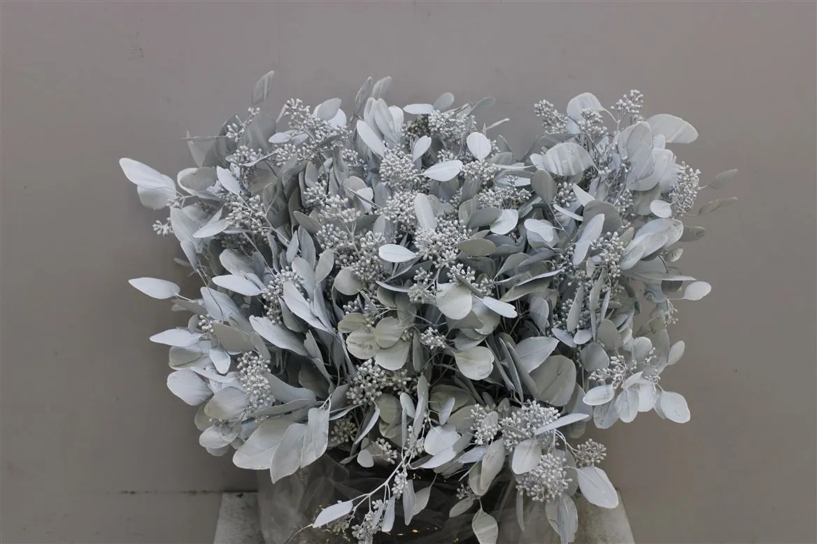 Eukalyptus Populus Berries White • 65 cm